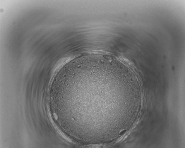 X0000060760049200511171158