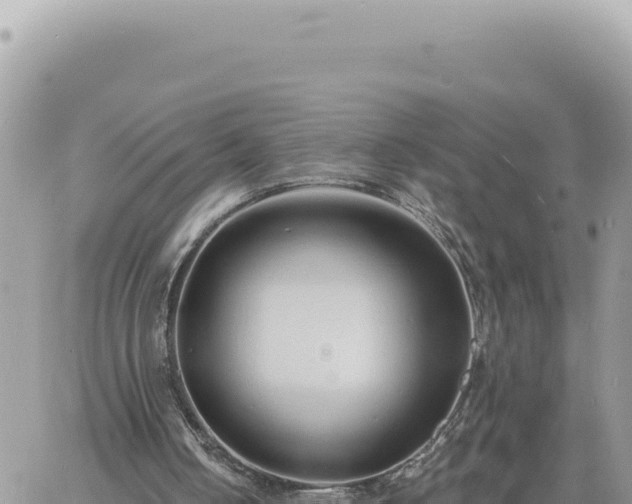 X0000060760050200511171158