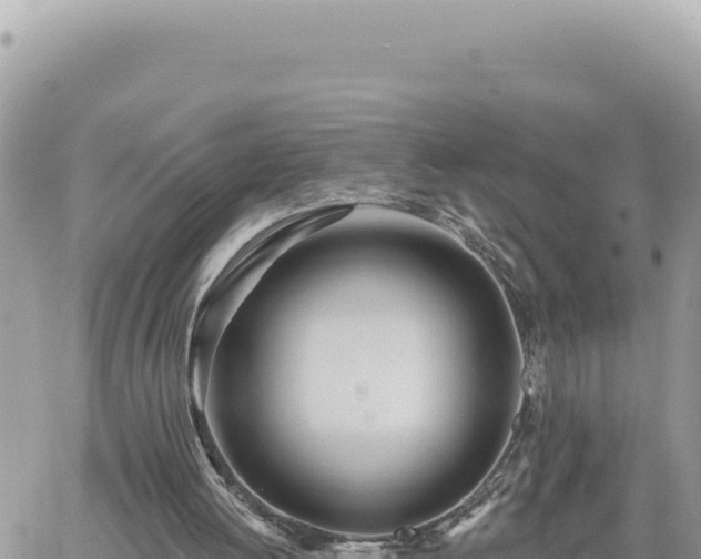 X0000060760052200511171158