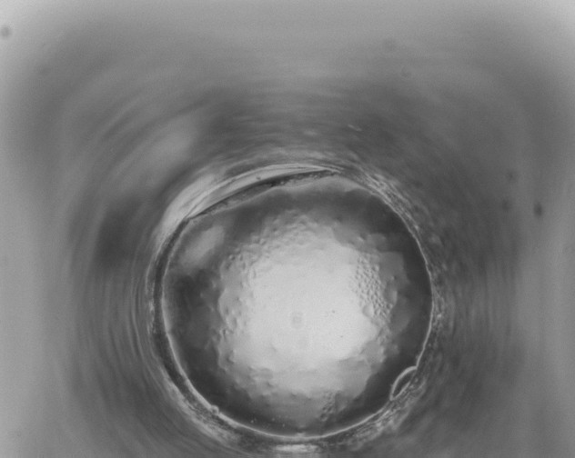 X0000060760053200511171158