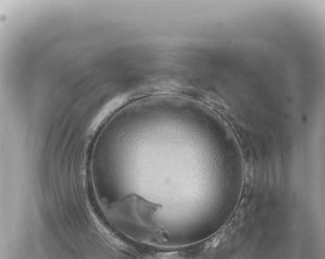 X0000060760054200511171158