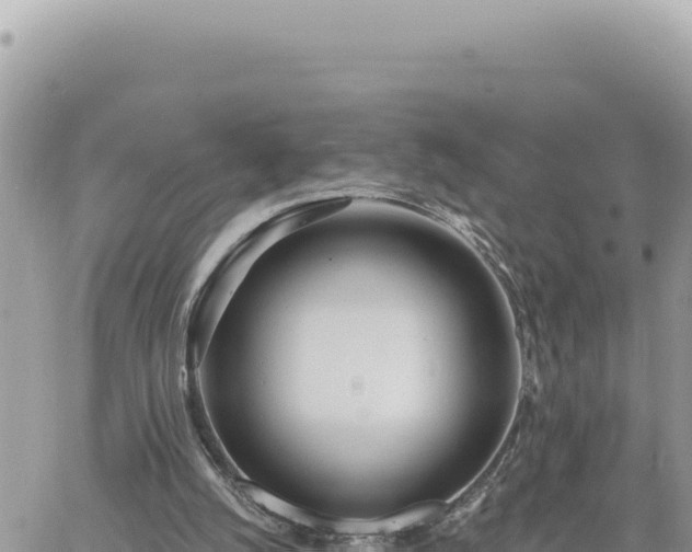 X0000060760056200511171158