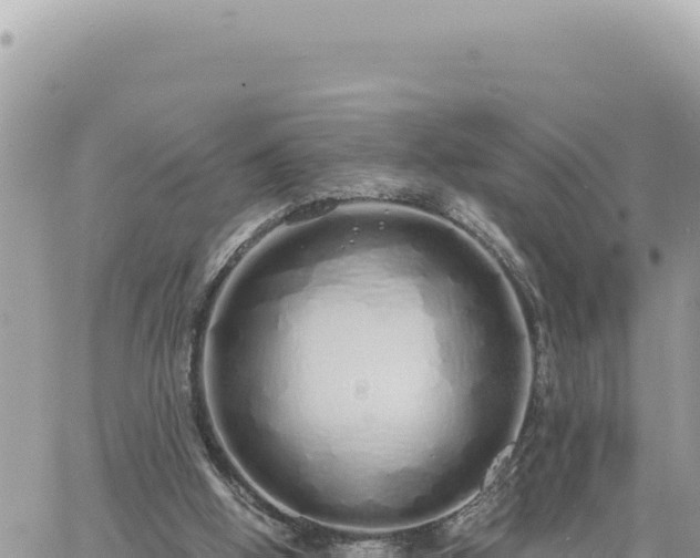 X0000060760058200511171158