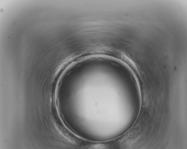 X0000060760059200511171158