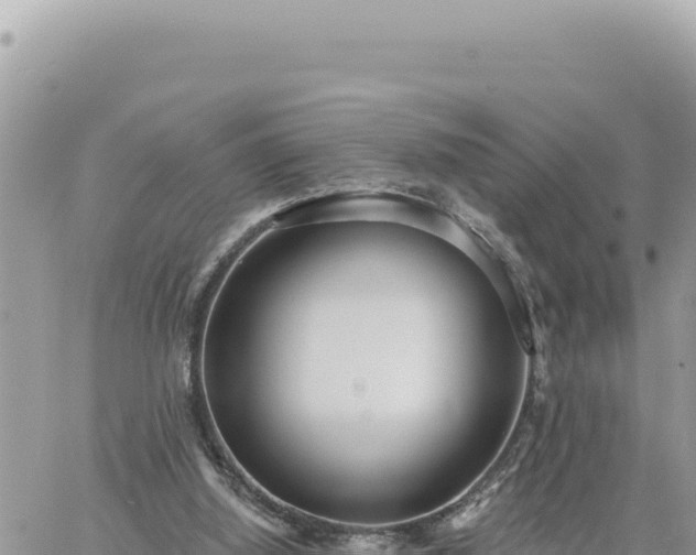 X0000060760060200511171158