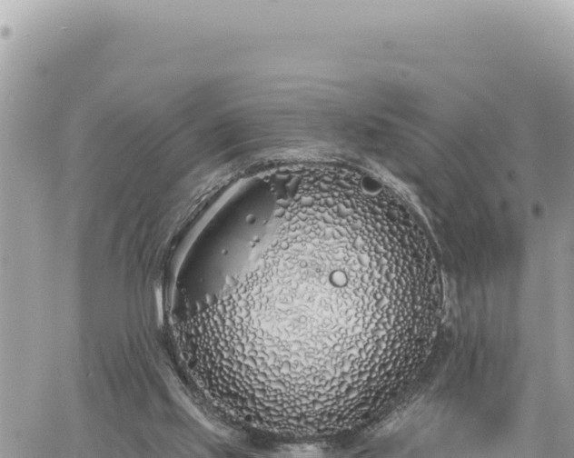 X0000060760061200511171158