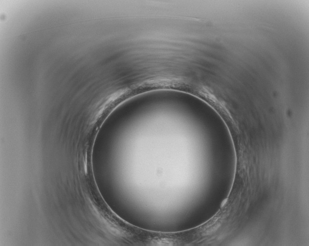 X0000060760062200511171158