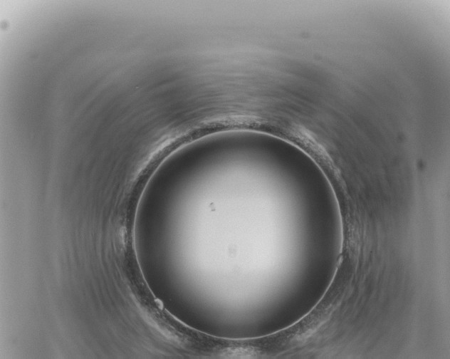 X0000060760063200511171158