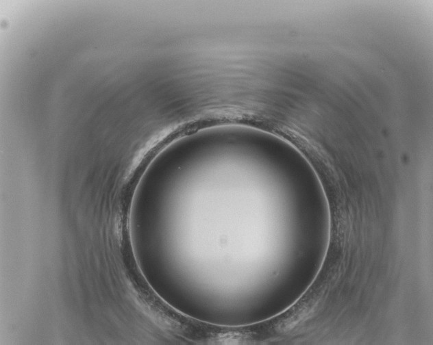 X0000060760064200511171158