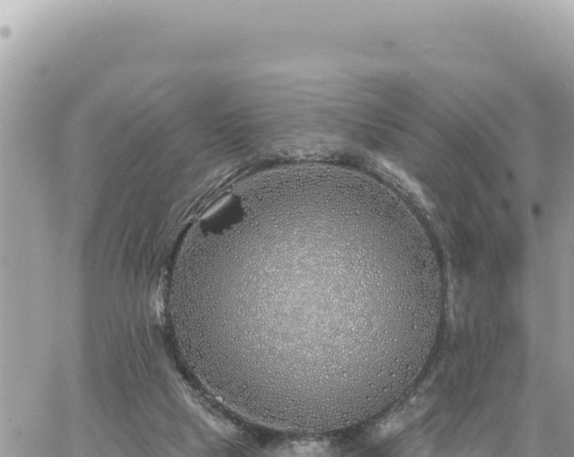 X0000060760065200511171158