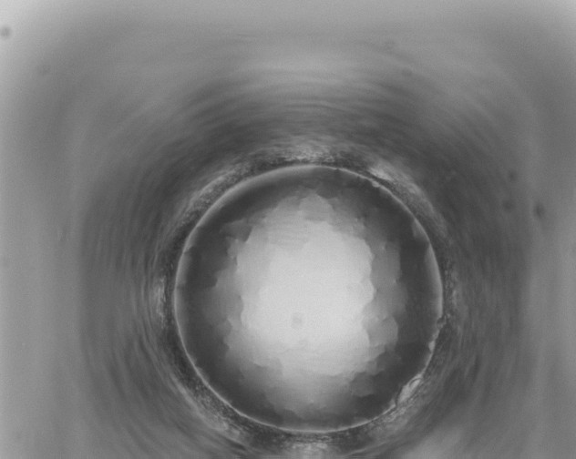 X0000060760066200511171158