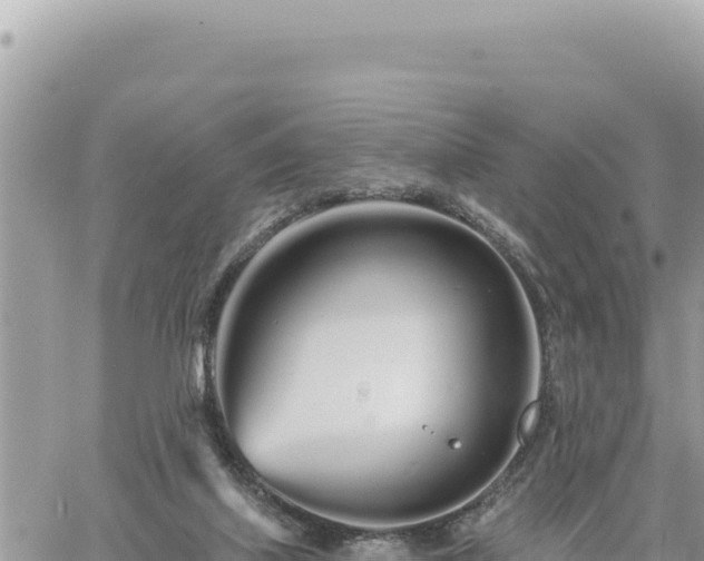 X0000060760067200511171158