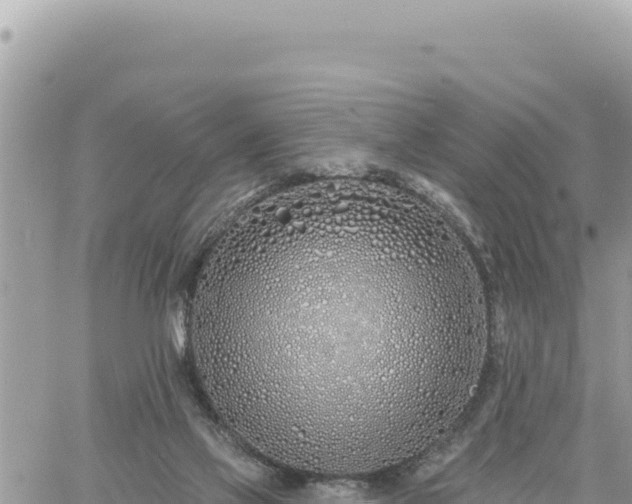 X0000060760069200511171158