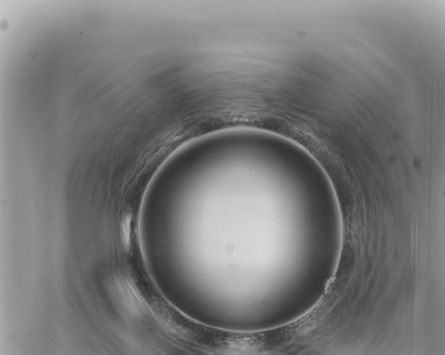 X0000060760070200511171158