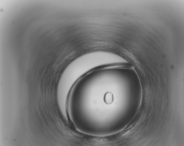 X0000060760073200511171158