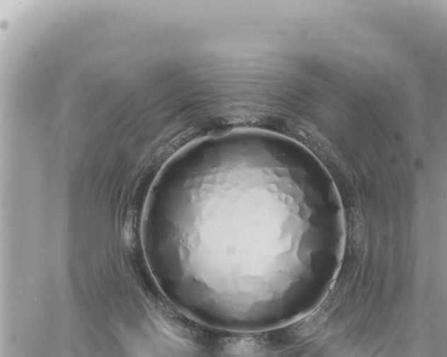 X0000060760074200511171158