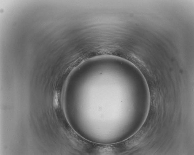 X0000060760075200511171158