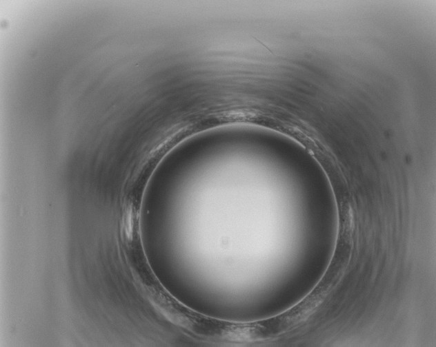 X0000060760076200511171158