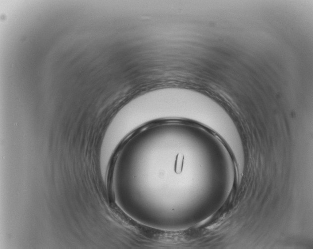 X0000060760077200511171158