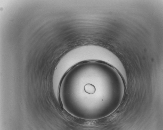 X0000060760080200511171159