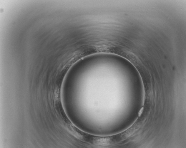 X0000060760081200511171159