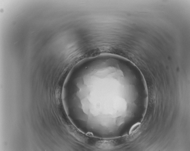 X0000060760082200511171159