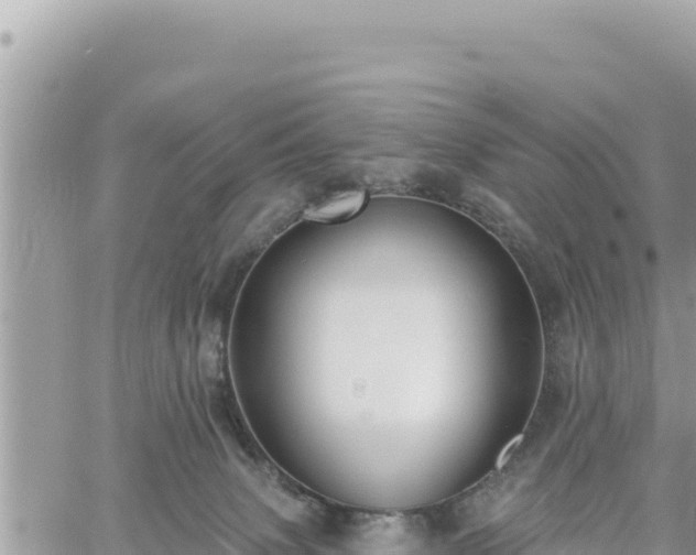 X0000060760083200511171159