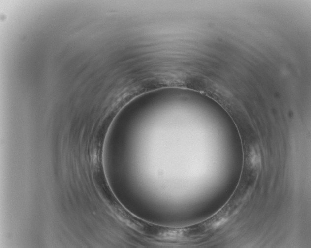 X0000060760084200511171159