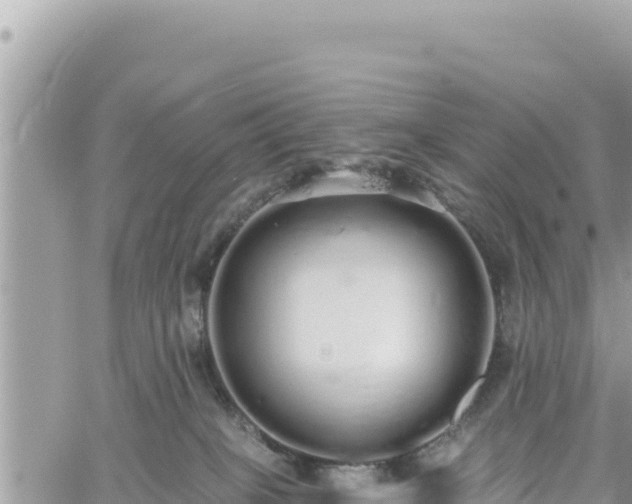 X0000060760085200511171159