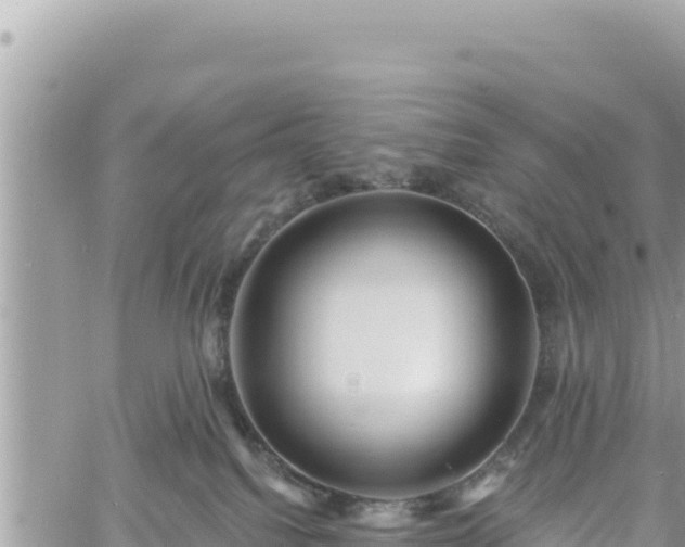 X0000060760088200511171159