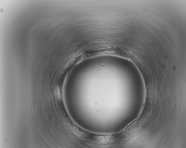 X0000060760089200511171159