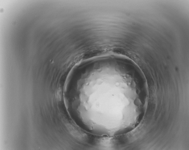 X0000060760090200511171159