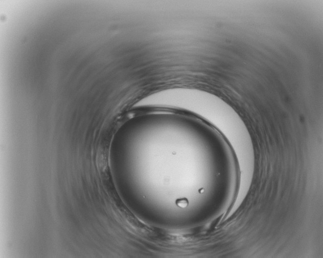 X0000060760091200511171159