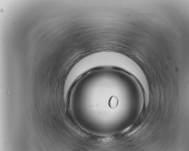 X0000060760092200511171159