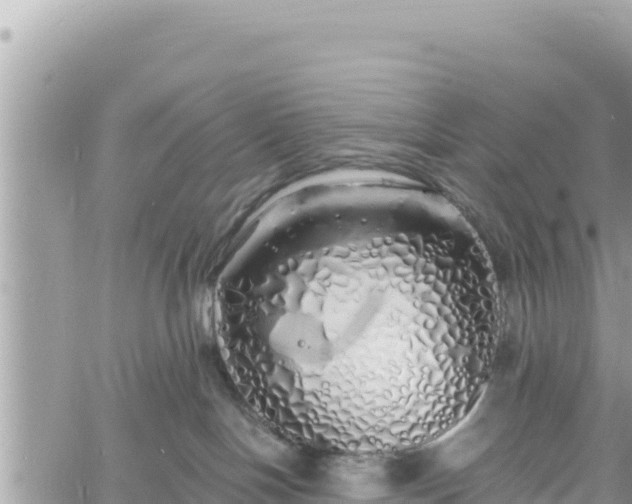 X0000060760094200511171159