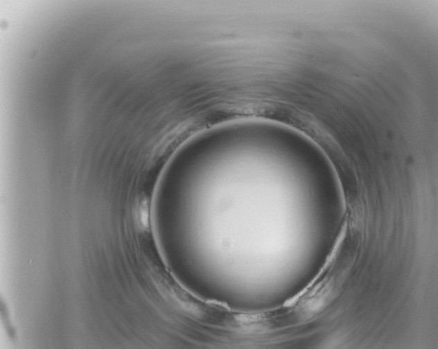 X0000060760095200511171159