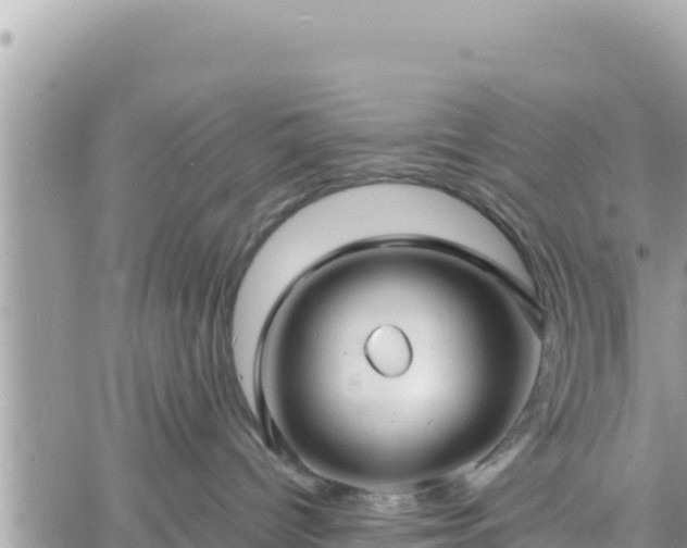 X0000060760096200511171159