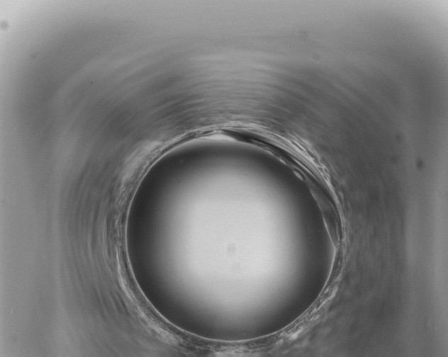 X0000060760097200511171158