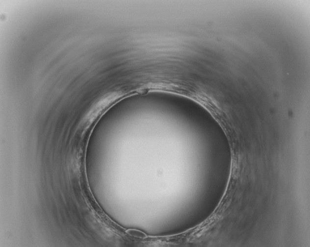 X0000060760098200511171158