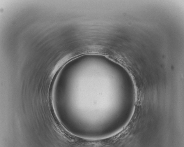 X0000060760099200511171158