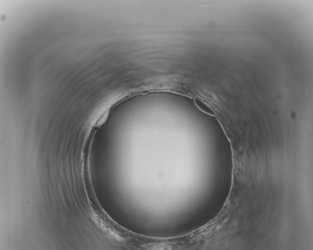 X0000060760100200511171158