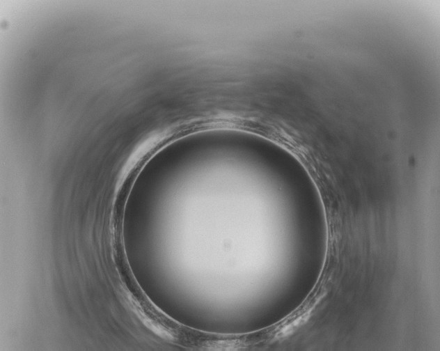 X0000060760102200511171158