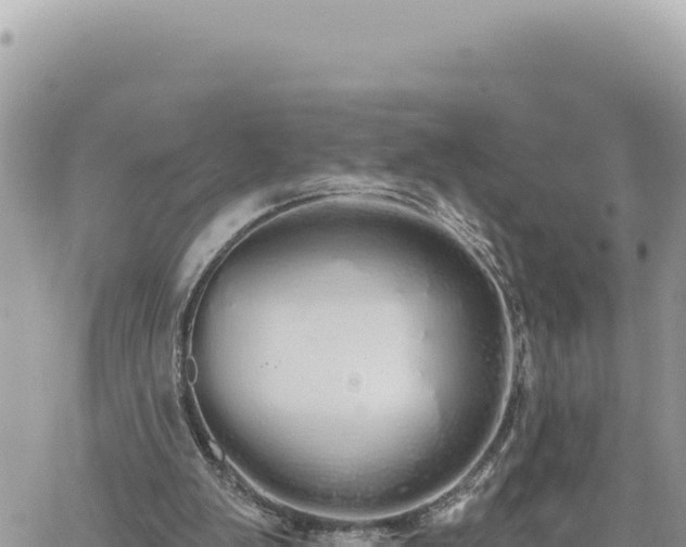 X0000060760103200511171158