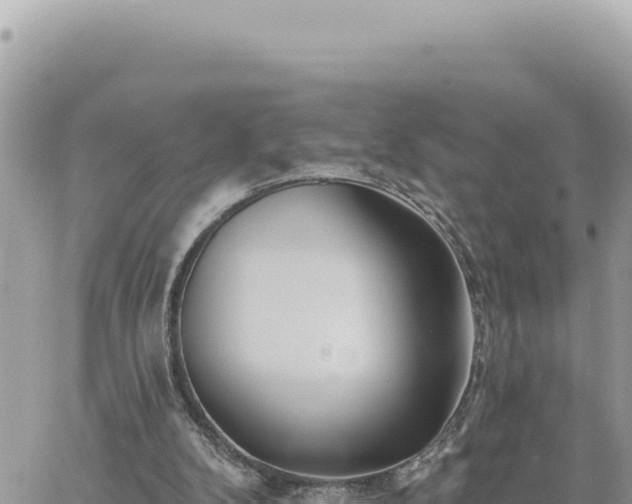 X0000060760104200511171158