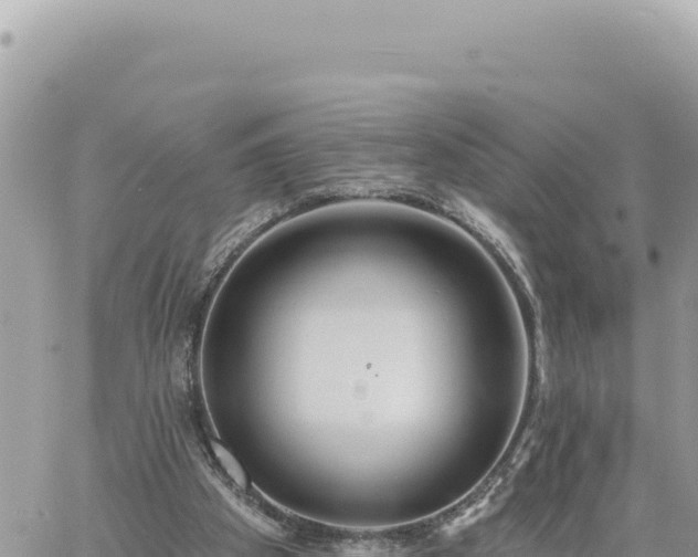 X0000060760105200511171158