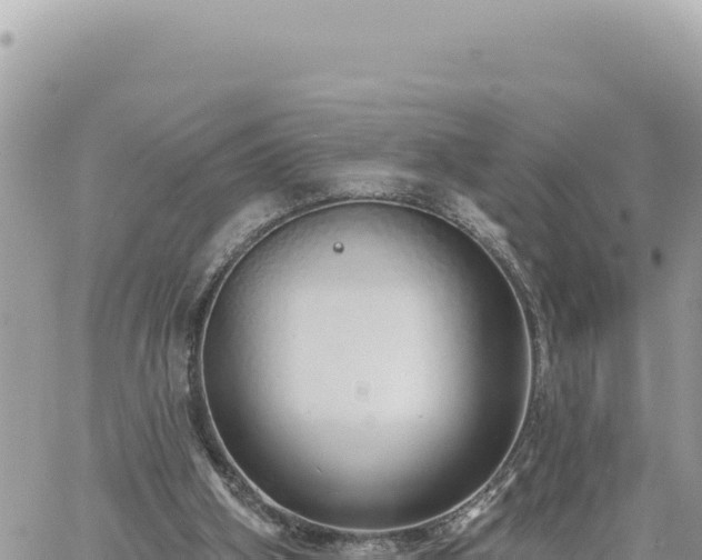 X0000060760106200511171158