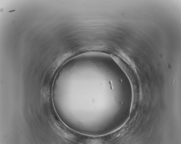 X0000060760107200511171158