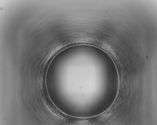 X0000060760108200511171158