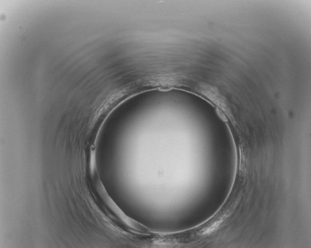 X0000060760109200511171158