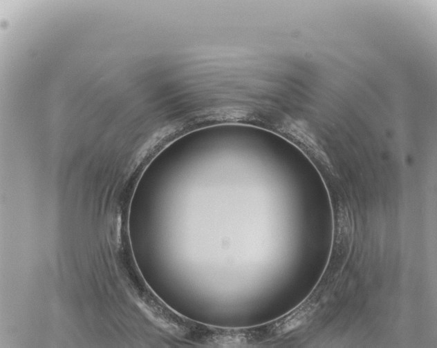 X0000060760110200511171158